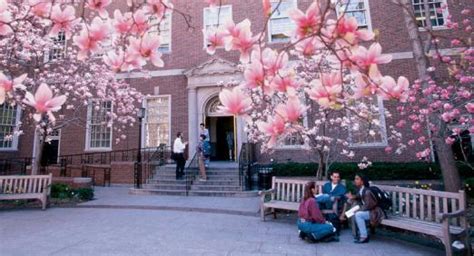 Nyu law campus. Things To Know About Nyu law campus. 